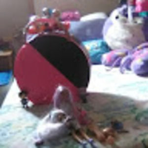 Meet your Posher, Jackie